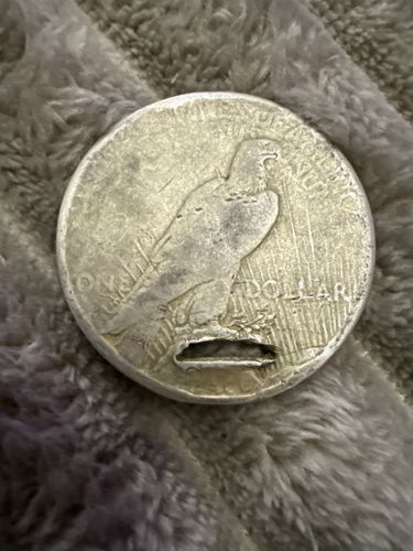 Peace Dollar