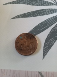 10 Sen Coin (Malaysia)