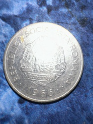 1 Leu