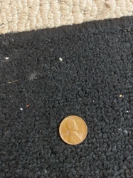 Lincoln Cent (Wheat Penny)