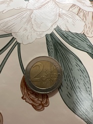 2 Euro (Bertha von Suttner)