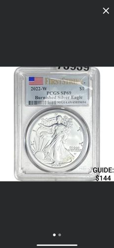 Burnished Silver Eagle (American Silver Eagle)