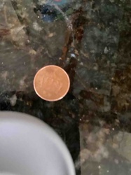 Penny