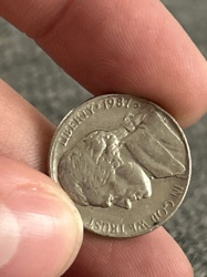 Buffalo Nickel