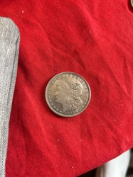 Morgan Dollar
