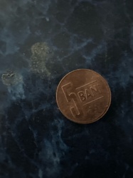 5 Bani coin