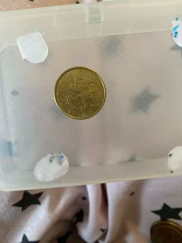 Finnish 20 Cent Euro Coin