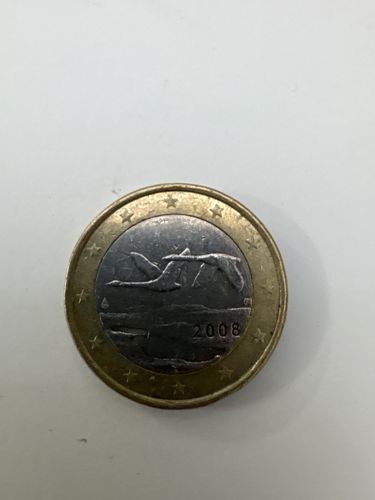 Euro Coin (Common Side)