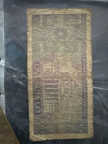 100 Lei Banknote