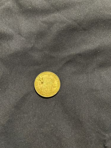 Dutch Gold Ducat (Netherlands Ducat)