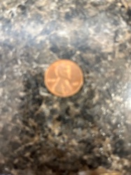 Lincoln Cent (Penny)