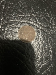 Unable to identify due to image quality