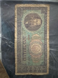 100 Lei banknote