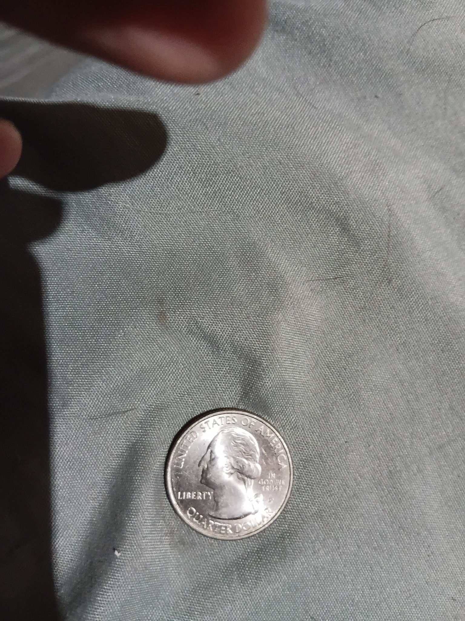 Washington Quarter (50 State Quarters or America the Beautiful Series) — reverse