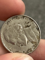 Buffalo Nickel