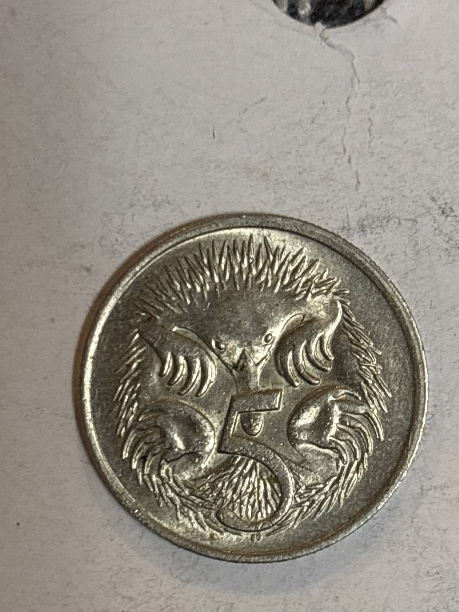 Australian 5 Cents (Echidna) — obverse