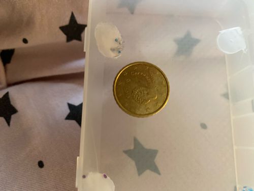 5 Euro Cent coin