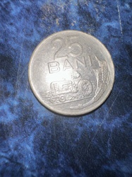 25 Bani