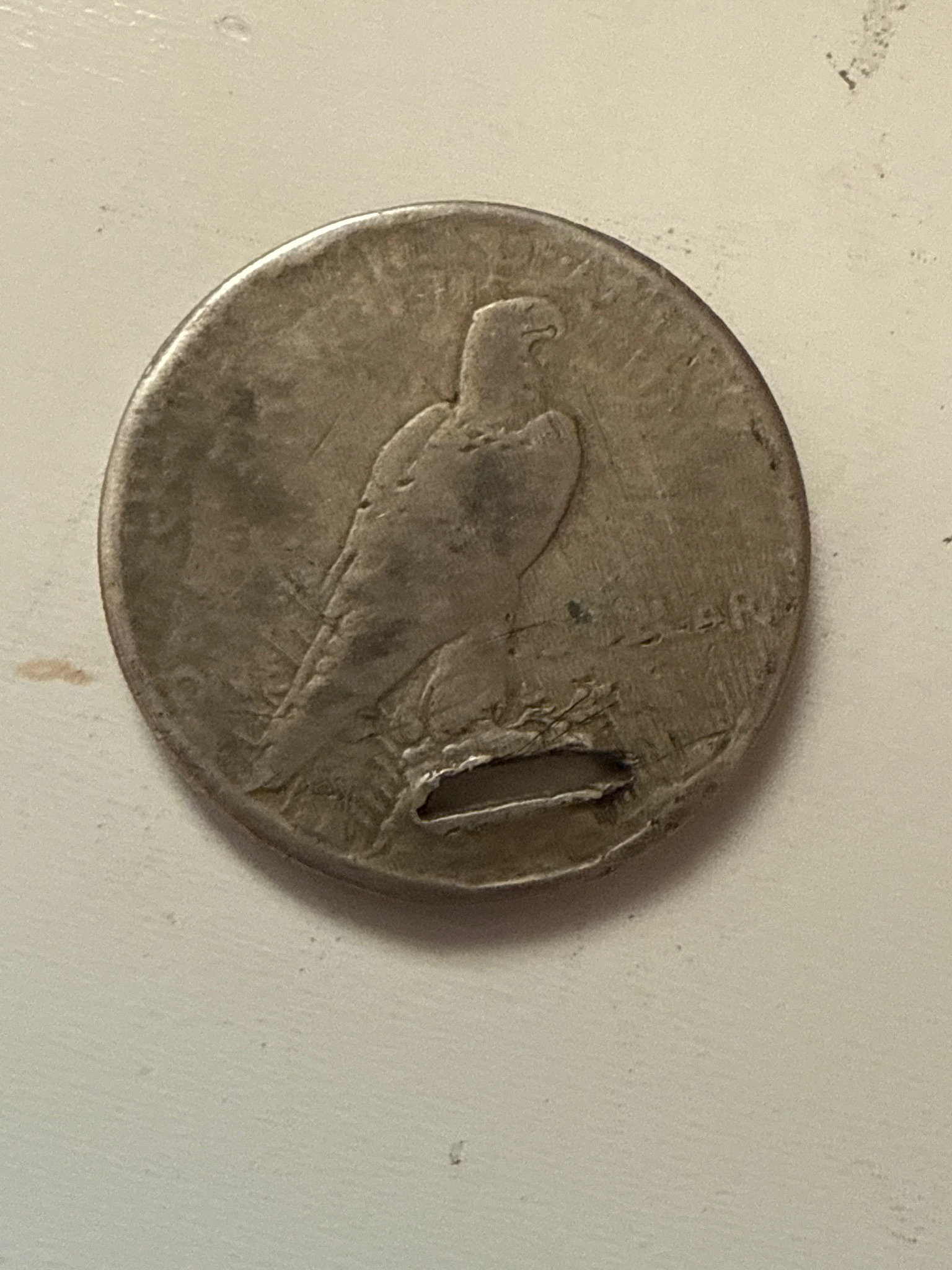 Peace Silver Dollar — reverse