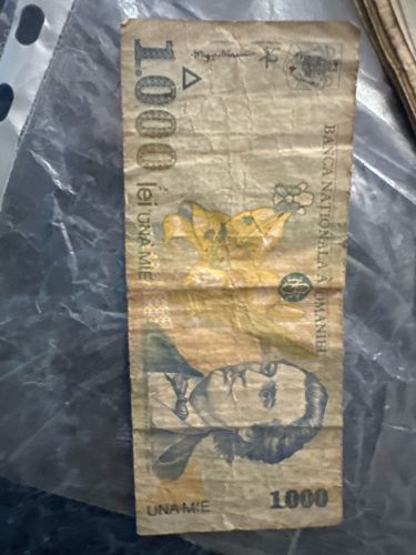 1000 Lei Banknote
