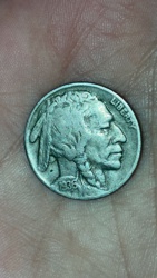 Buffalo Nickel