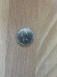 Unidentifiable due to poor image quality