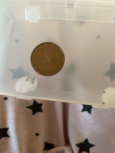 Japanese 10 Yen Coin (Heisei Era)