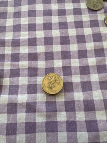 Round One Pound Coin (Leek and Diadem design)