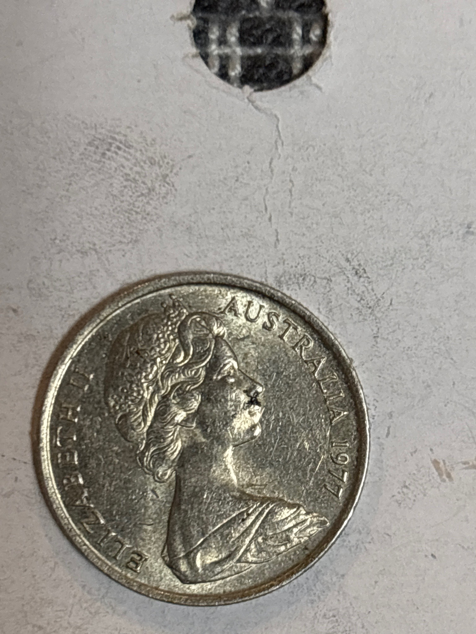 Australian 5 Cents (Echidna) — reverse