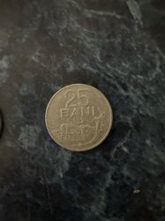 25 Bani