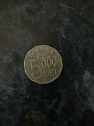 5000 Lei