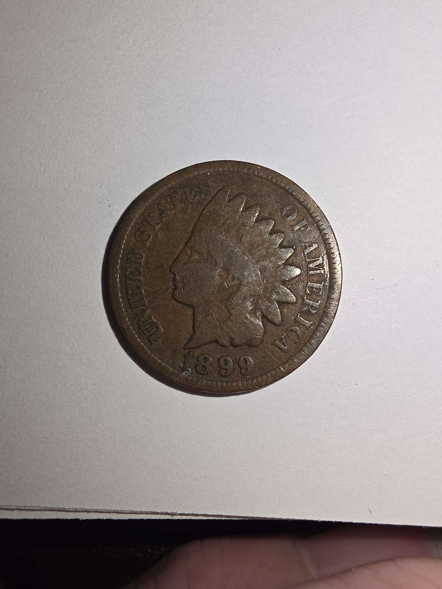 Indian Head Cent