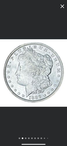 Morgan Dollar