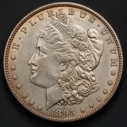 How to Identify the 1893-S Morgan Dollar