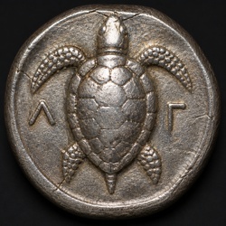 How to Identify the Aegina Sea Turtle Stater