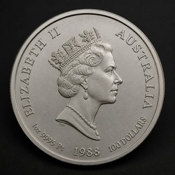 Australian Platinum Koala