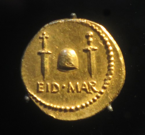 Brutus Aureus