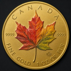 How to Identify the Canadian Colored Maple Leaf