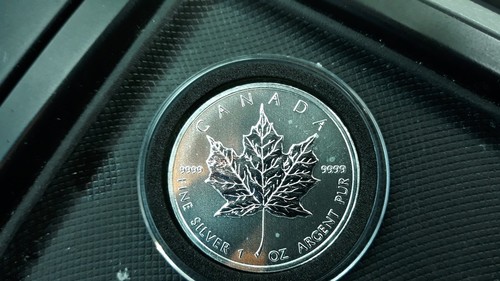 Canadian Silver Maple Leaf