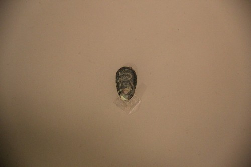 Chu State Ant-Nose Coin