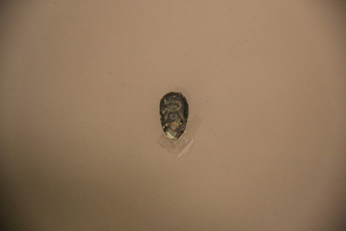 Chu State Ant-Nose Coin
