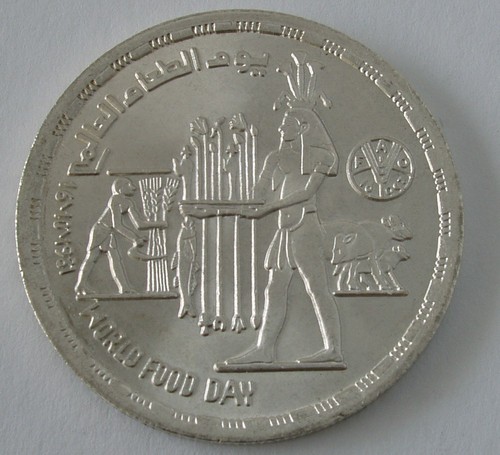 Egyptian 1 Pound