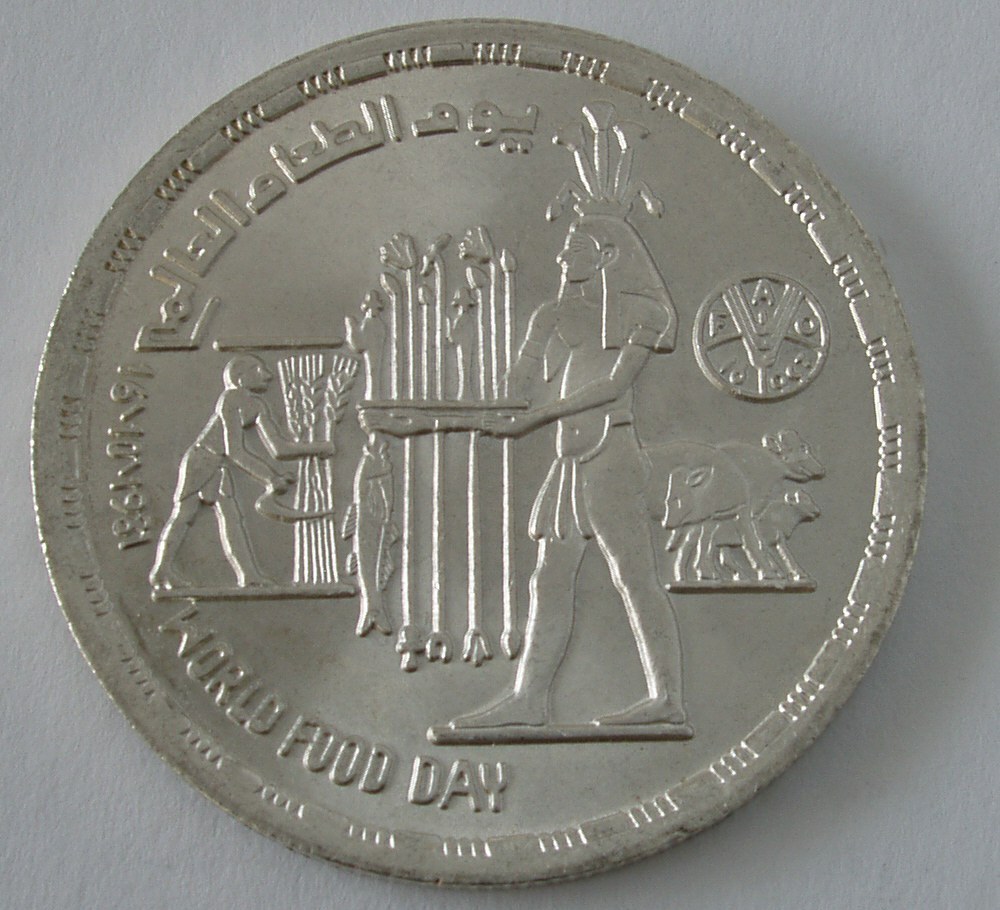 Egyptian 1 Pound