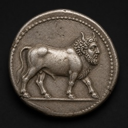 How to Identify the Gela Man-Headed Bull Tetradrachm