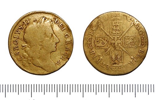 Gold Guinea