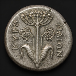 How to Identify the Kyrene Silphium Tetradrachm