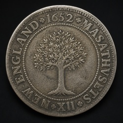 How to Identify the Massachusetts Oak Tree Shilling