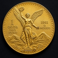 How to Identify the Mexican Gold Libertad