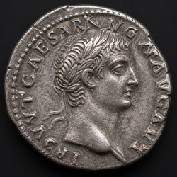 How to Identify the Roman Denarius