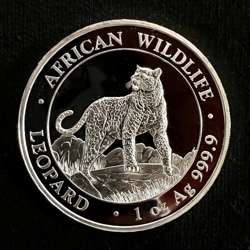Somalia Silver Leopard